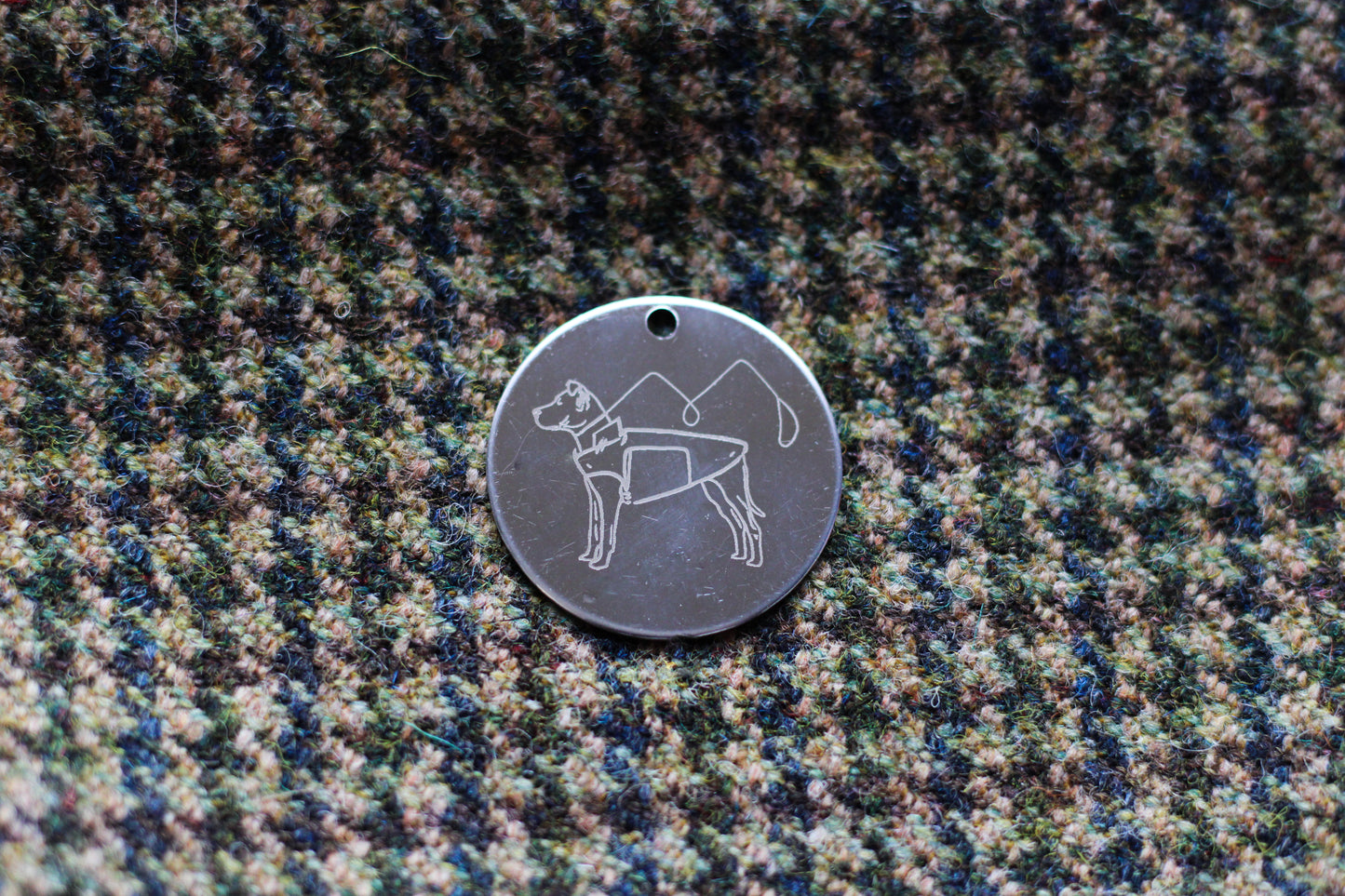 Pathfinder Dog Name Tag