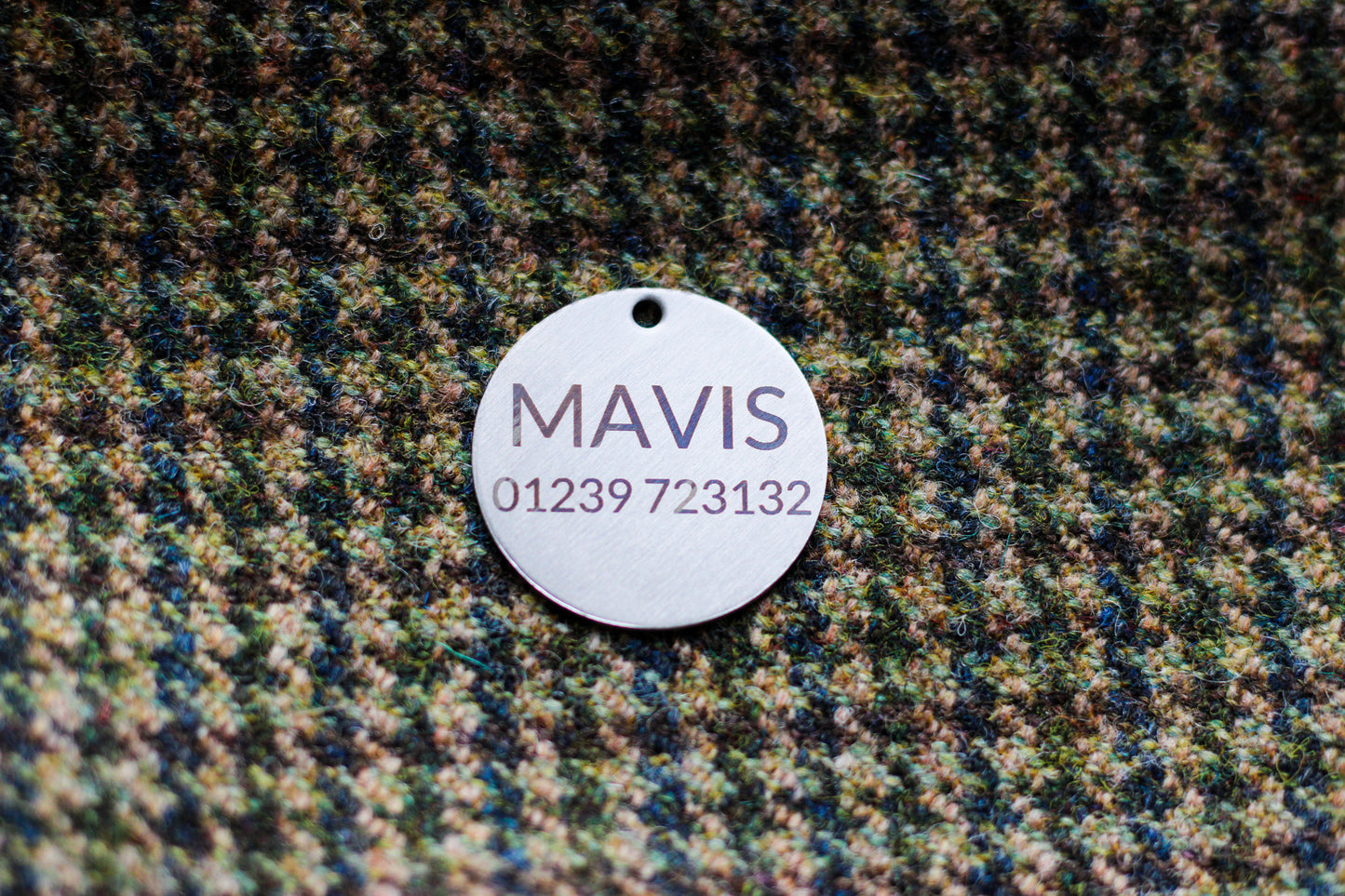 Pathfinder Dog Name Tag