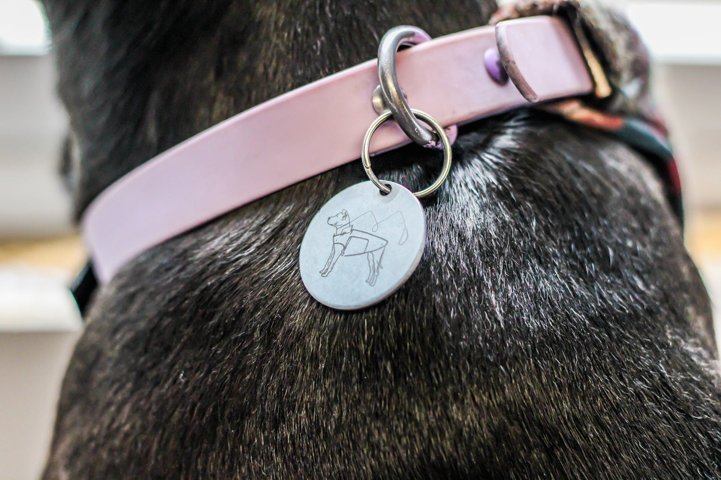 Pathfinder Dog Name Tag