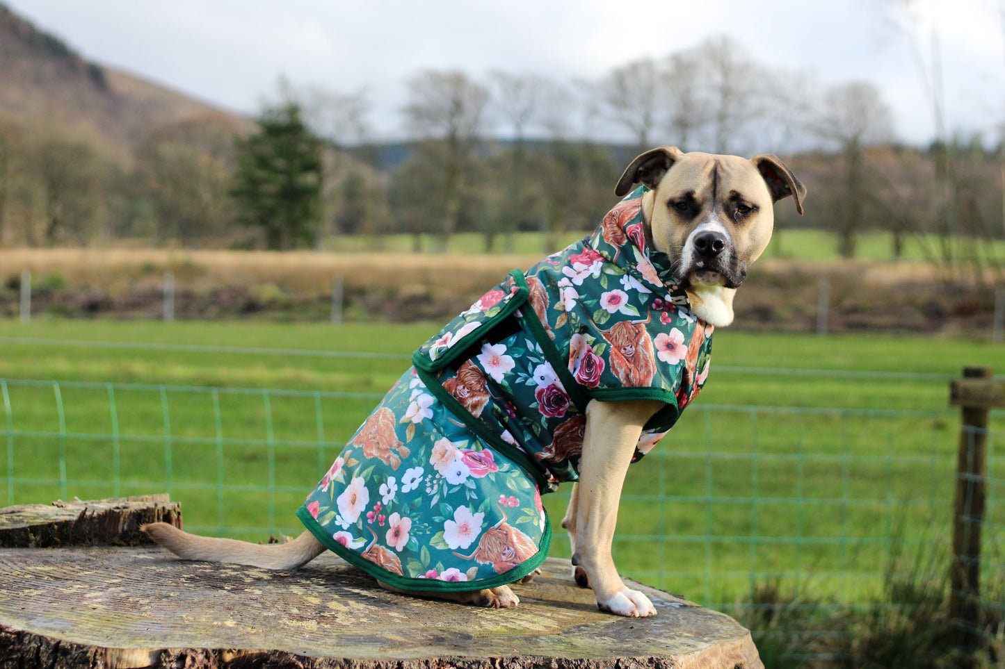 Pathfinder Waterproof Dog Coat - Highland Moo