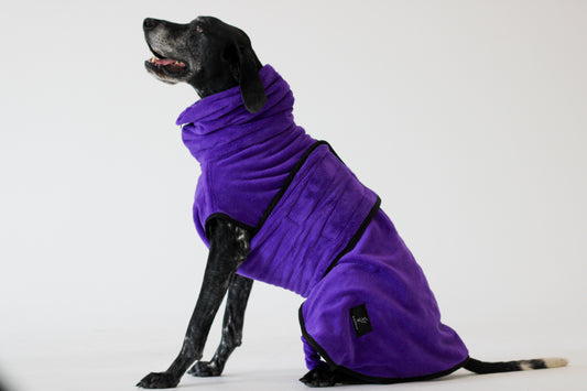 Pathfinder Dog Drying Coat - Royal Purple