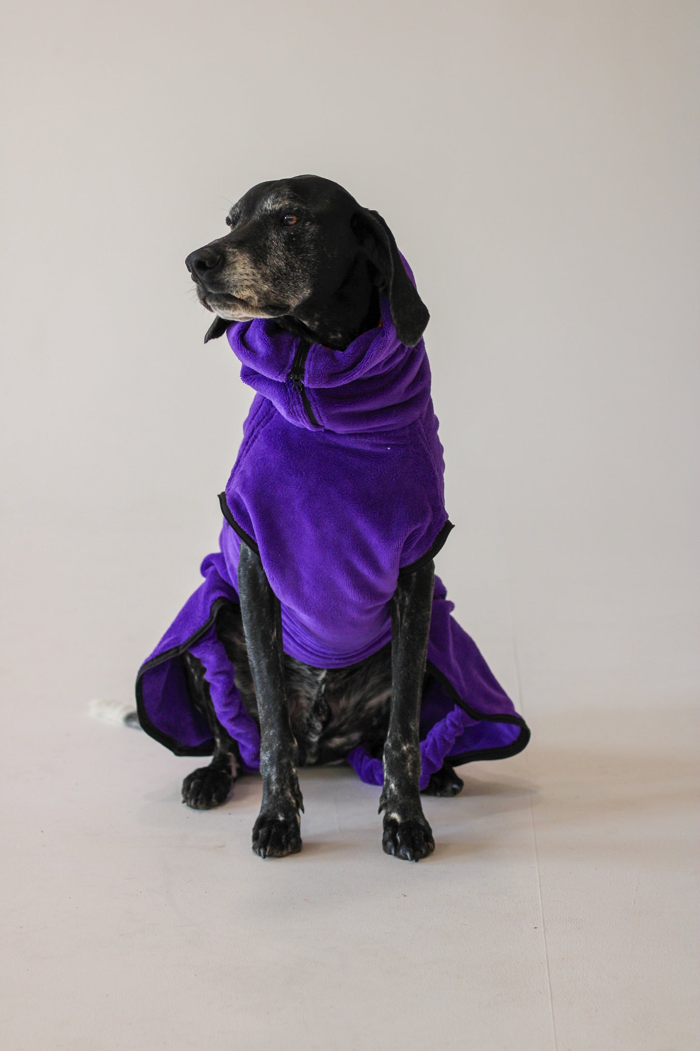 Pathfinder Dog Drying Coat - Royal Purple