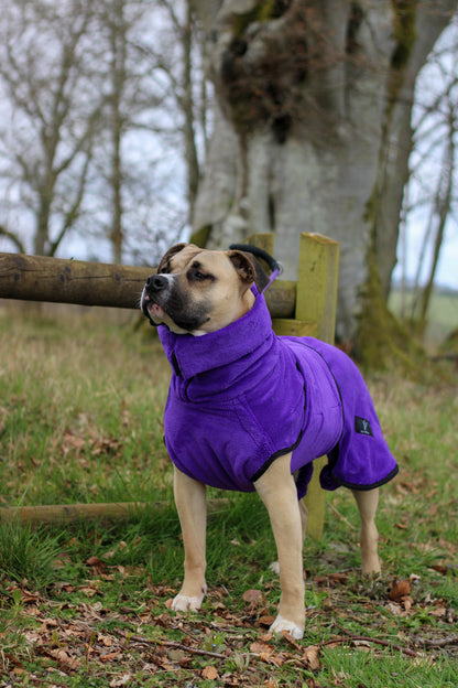 Pathfinder Dog Drying Coat - Royal Purple