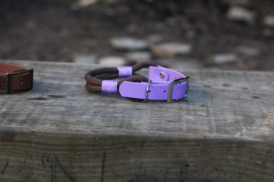 Pathfinder Heritage Collar - Chocolate Brown