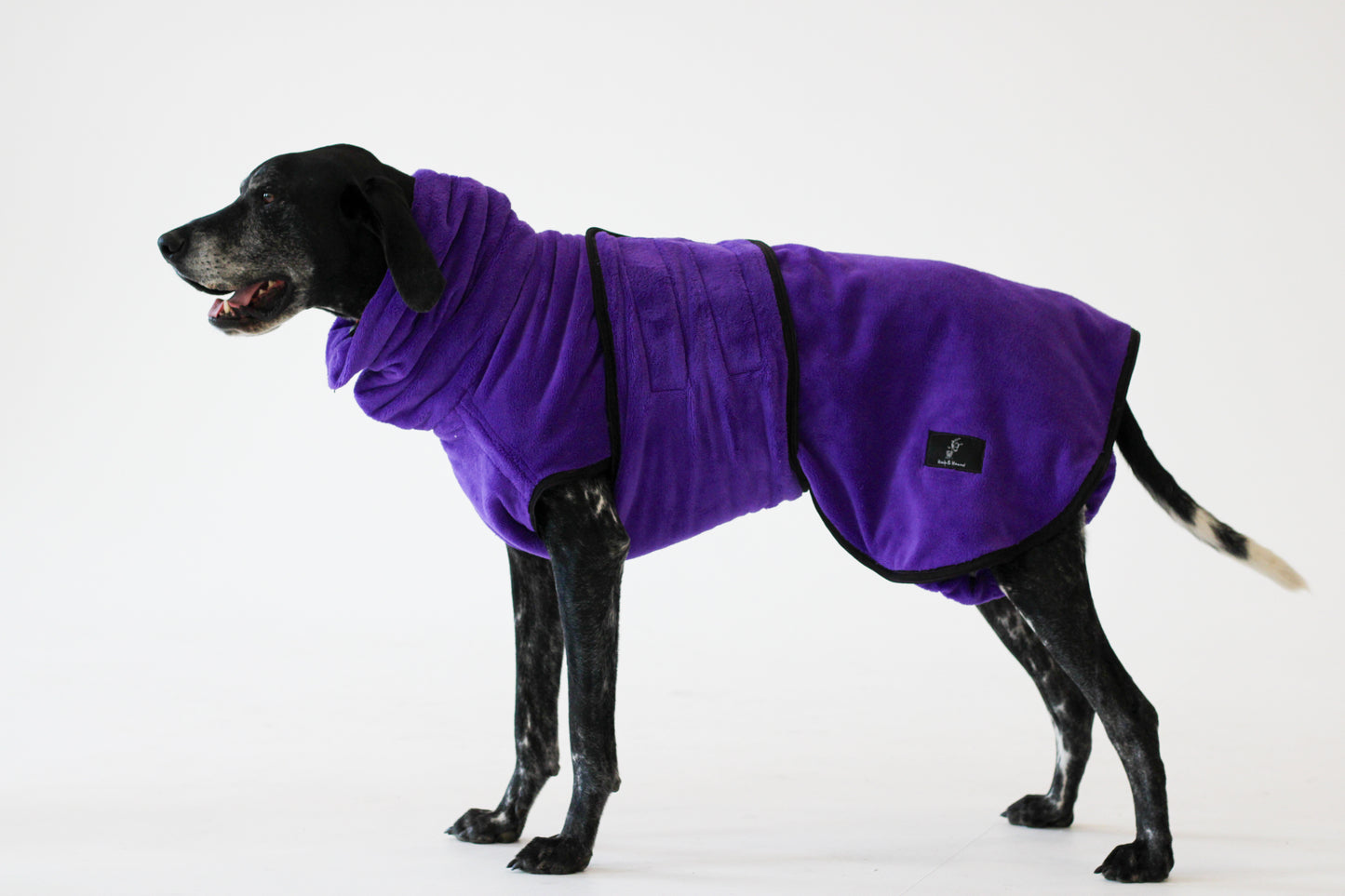 Pathfinder Dog Drying Coat - Royal Purple