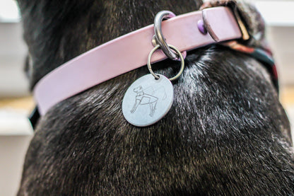Pathfinder Dog Name Tag